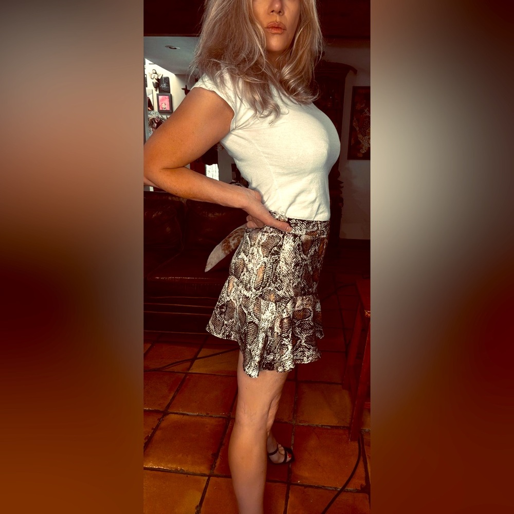 Zara Snake Print Skirt no belt but cant tell